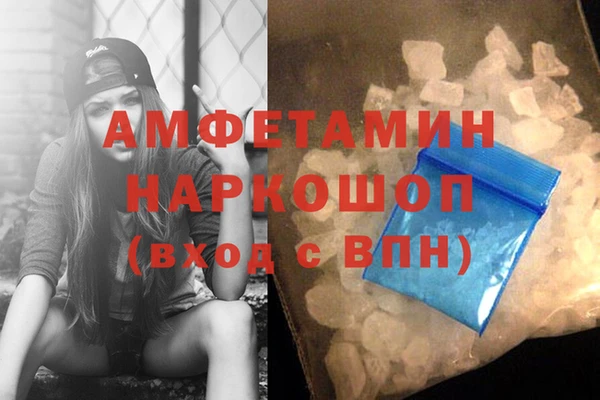 apvp Алзамай