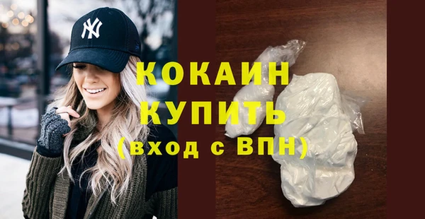кокс Алексин