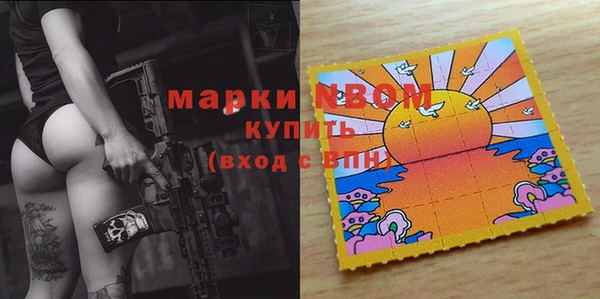 apvp Алзамай