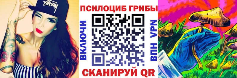 Псилоцибиновые грибы Cubensis  площадка формула  Абдулино 